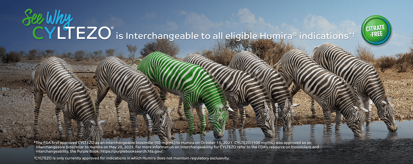 zebras drinking water switching