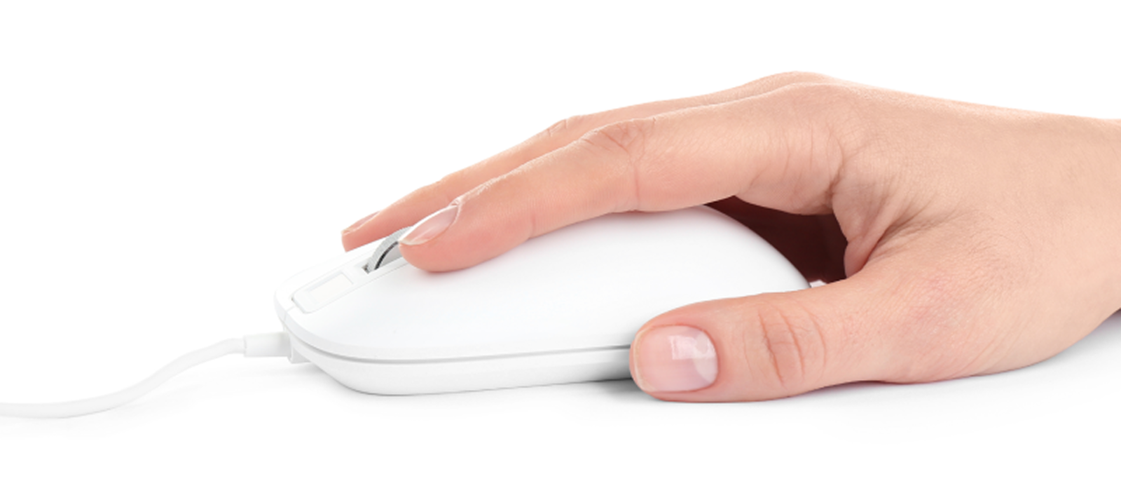 Order Samples Online