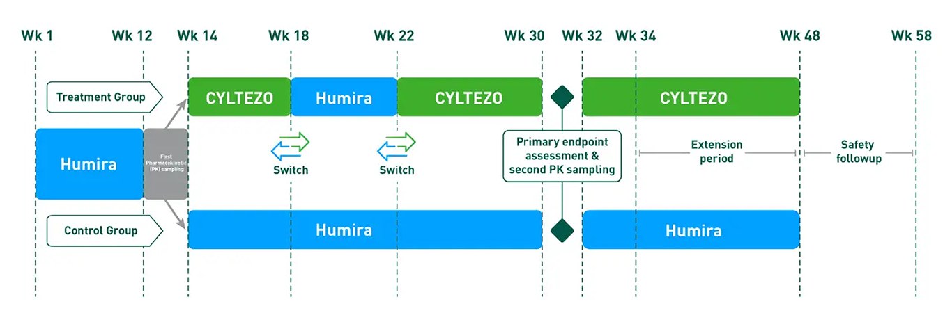 CYLTEZO (adalimumab-adbm) injection and Humira® Switching Study Timeline Infographic