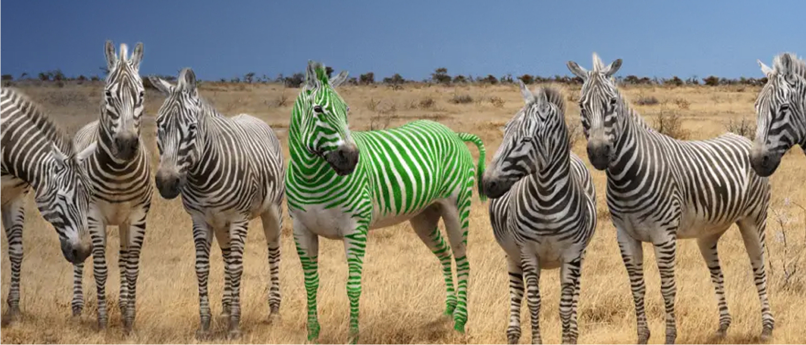 Formulary Access Zebra CTA