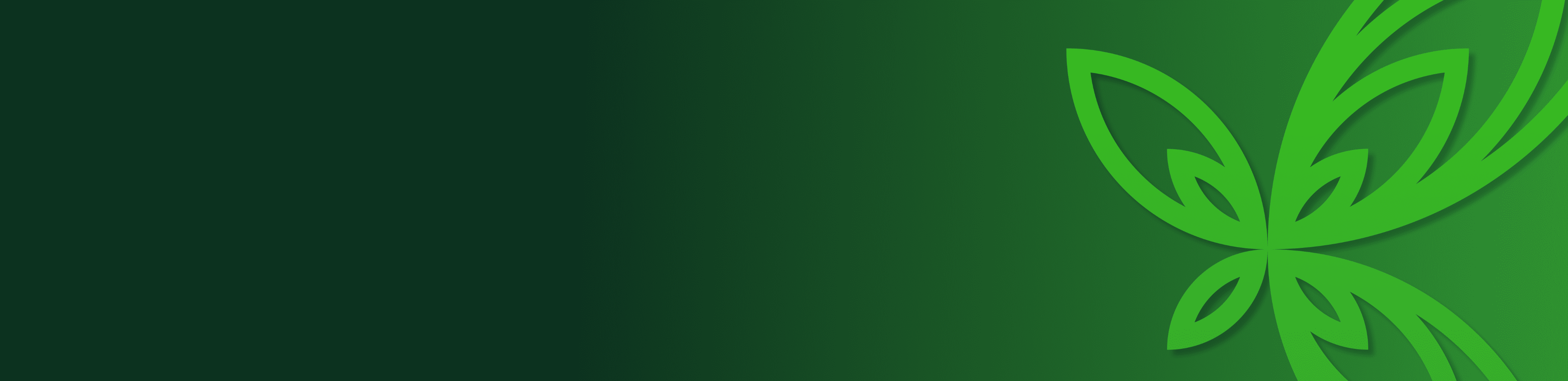 Green Flower Pattern On Green Background Banner